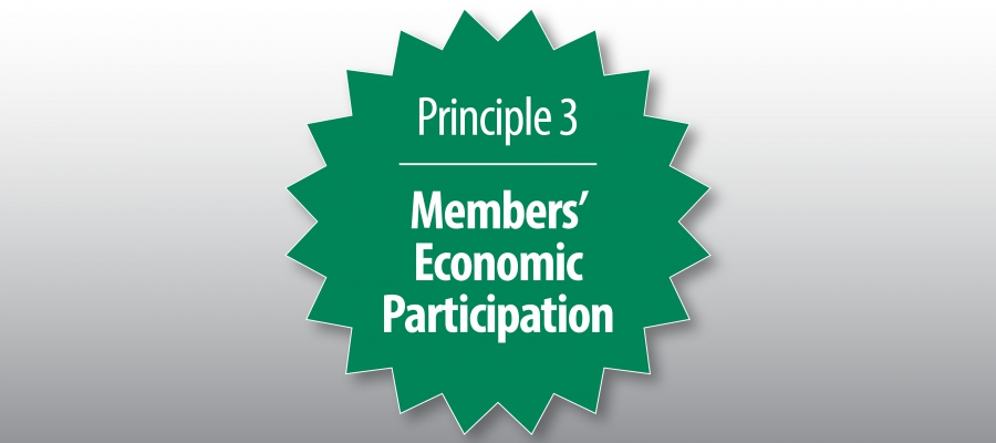 Members' economic participation 